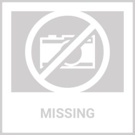 Foldable Rat Trap Cage Humane Live Rodent Trap Cage Galvanized Iron Mice Mouse Control Bait Catch With Detachable L Shaped Rod (Option: Silver)